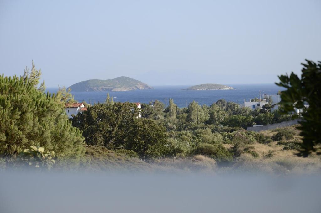 Spanos Apartments Agios Petros  Exterior photo